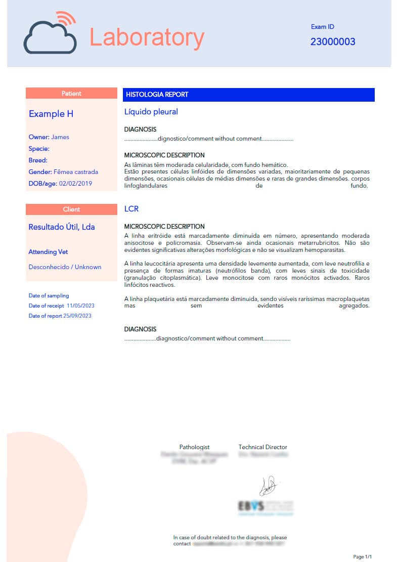 Example of Pathology Report